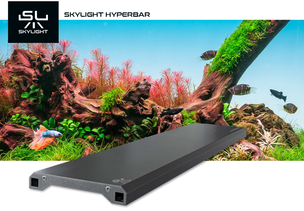 Skylight Hyperbar